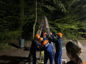 IMG-20250506-WA0016